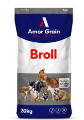 Amor Grain Broll