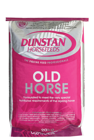 Dunstan Old Horse
